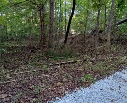 Vacant Land in Leitchfield, KY