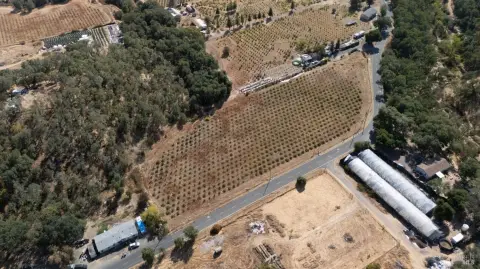 Carignane Vineyard Parcel