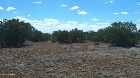 Recreational Land with Room to Grow