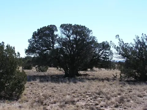 Recreational Ranch Land