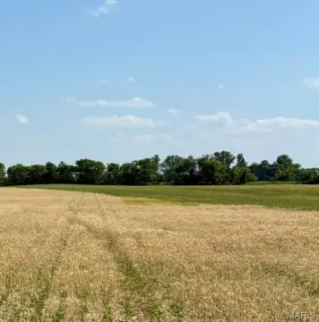 Productive Farmland Investment Opportunity