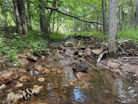 Recreational Hunting Land with Creek Bottom