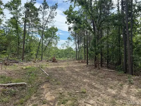 Wooded Recreational Land Tract