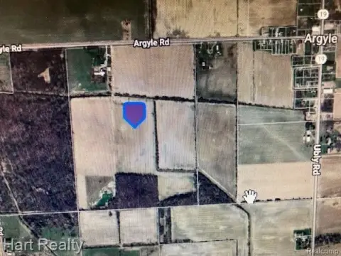 Land in Argyle Twp, MI