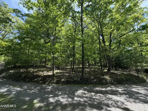 Residential Building Lot in Altoona