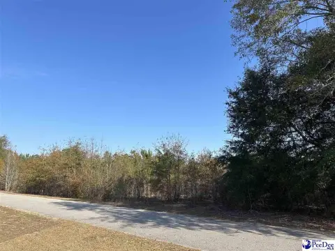 Residential Lot in Latta, SC