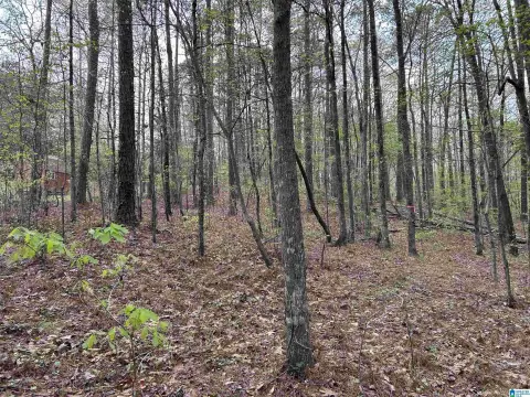 Residential Lot in Lakeview, AL