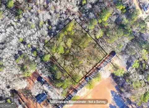 Wooded Parcel in Laurens County