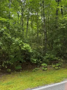 Gentle-Slope Buildable Lot