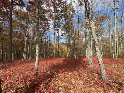 Glenville, NC Homesite in Chinquapin