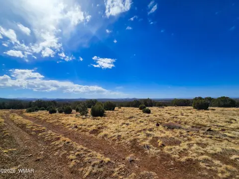 Corner Lot for Homesite or Recreation