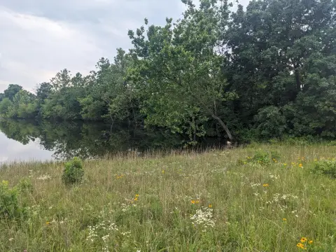 Land For Sale in Crocker