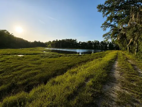 56-Acre Property with Pond