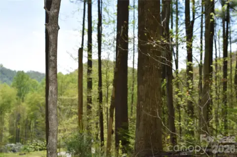 Land in Balsam, North Carolina