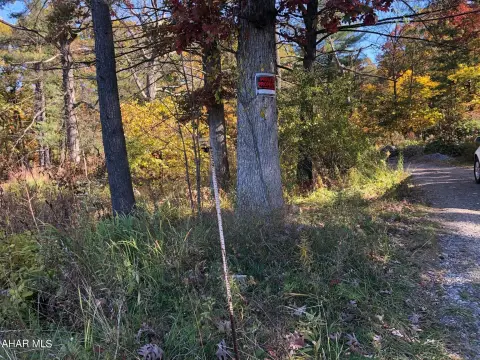 Business Zoned Vacant Lot