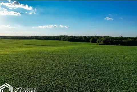 160-Acre Productive Farm
