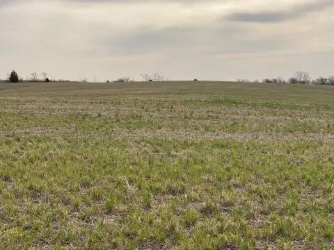 Productive Tillable Acreage For Sale