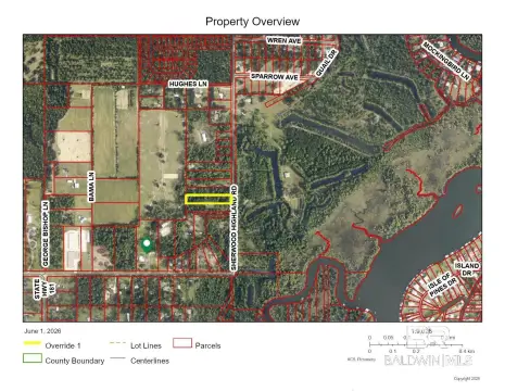 Clearing-Needed Commercial Land Lot
