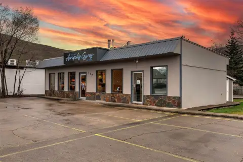 Established Gyro Shop Business