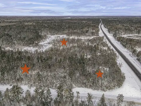 35 Acres of Wooded Land