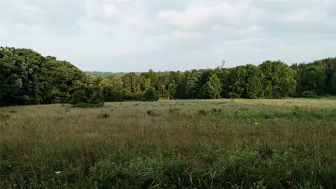Recreation Hunting Land Tract