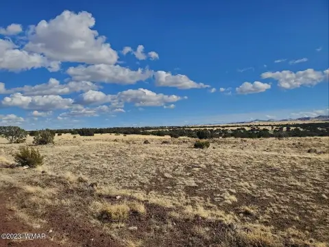 Concho, AZ Acreage Homesite