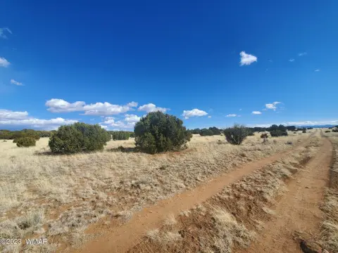 Concho, AZ Level Acre Parcel