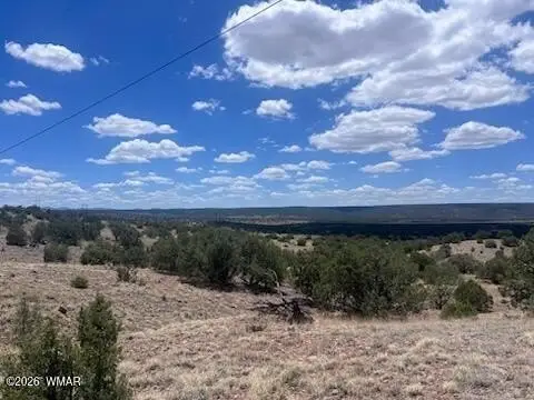 Land in Concho, Arizona
