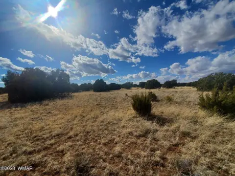 Concho, AZ Level Acre Parcel