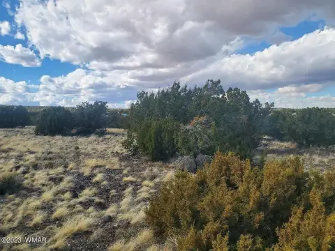 Land Near Concho Lake