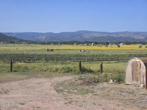 30+ Acre Agricultural Property