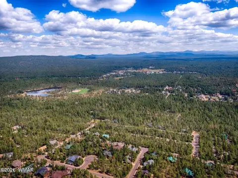Pinetop Land in Top of Woods