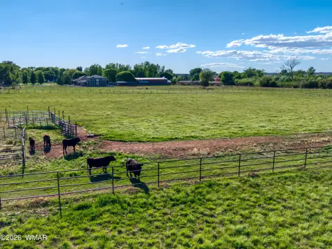 5.88 Acre Irrigated Pasture