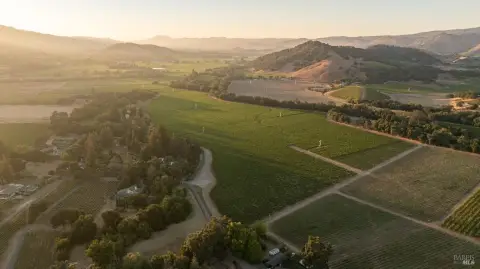 Vineyard Property with Estate Sites