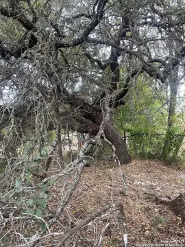 Canyon Lake Residential Land