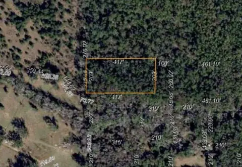 Vacant Lot in Tallahassee Neighborhood