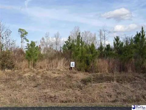 Residential Lot in Latta, SC