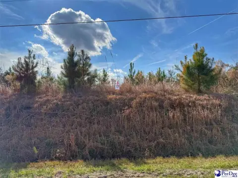 Residential Lot in Dillon, SC