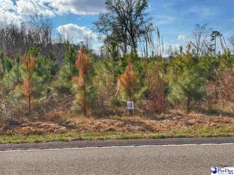Residential Lot in Latta, SC