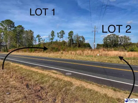 Residential Lot in Latta, SC