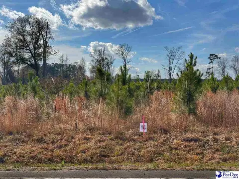 Residential Lot in Latta, SC