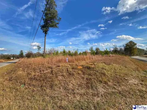 Residential Lot in Latta, SC