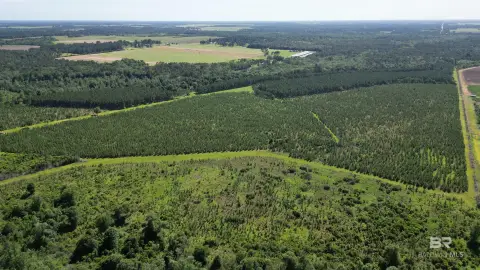 Recreational Timber Tract with Pond