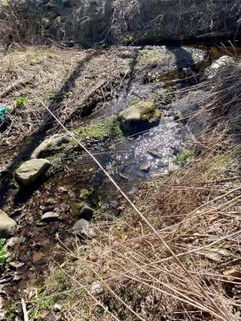 Half Acre Lot Near Creek