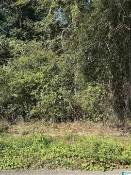 Wooded Rural Land Tract