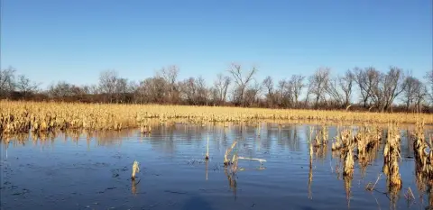 Hunting Lodge and Duck Lake
