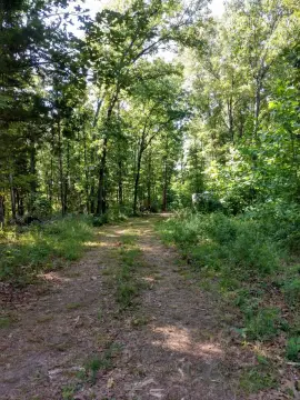 Wooded Land Bordering National Forest
