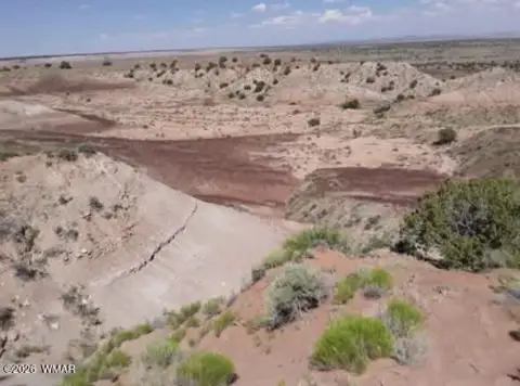 Hunting Land with Two Parcels