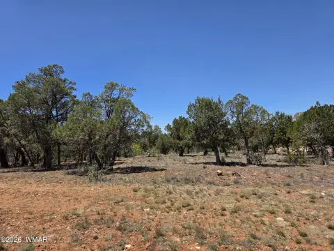 Airpark Homesite for Custom Build