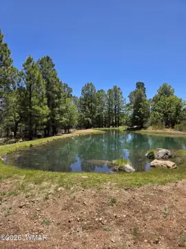 Waterfront Homesite in Prestigious Community